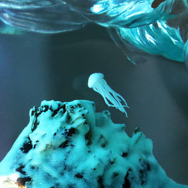 https://cdn.shopify.com/s/files/1/0840/5028/0740/files/Closeup-Jellyfish.jpg